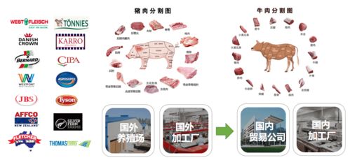 融资速报丨黑马实验室学员企业 飞熊领鲜 获近亿元人民币a轮融资