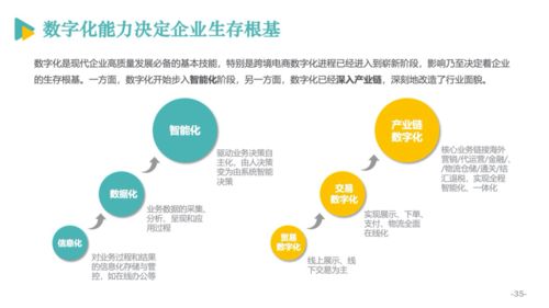 2020跨境电商发展报告 发布,快来围观